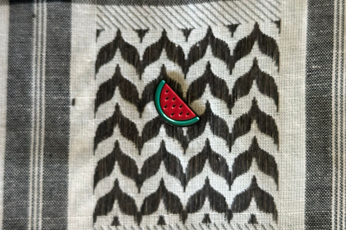 Watermelon Magnetic Pins