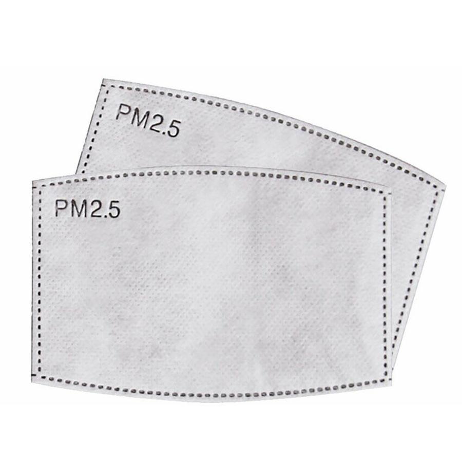 Replaceable PM 2.5 Filters